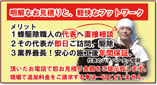 蜂駆除屋さんのメリット