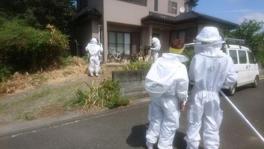 日本テレビ出演時